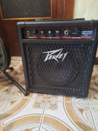 Bajo activo y amplificador