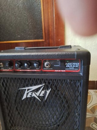Bajo activo y amplificador