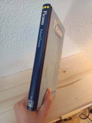 Libro Picasso