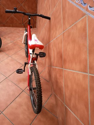 Bicicleta infantil 20 6-10 años