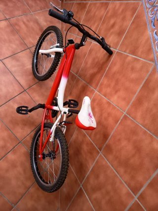 Bicicleta infantil 20 6-10 años