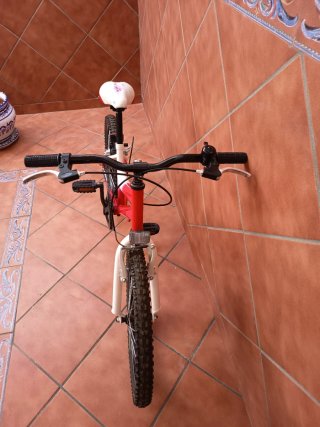 Bicicleta infantil 20 6-10 años