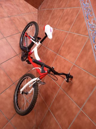 Bicicleta infantil 20 6-10 años