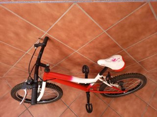 Bicicleta infantil 20 6-10 años