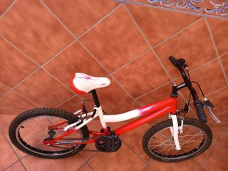 Bicicleta infantil 20 6-10 años