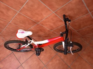 Bicicleta infantil 20 6-10 años