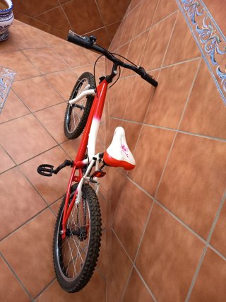 Bicicleta infantil 20 6-10 años