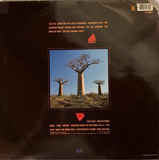 Pink Floyd Delicate Sound of Thunder 1a stampa