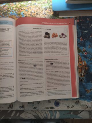 Lengua castellana y literatura 2 ESO : código a...