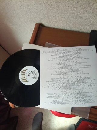 Vinilo LVME  THE BLINDING INIQUITY