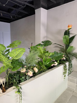Plantas Artificiales Decorativas