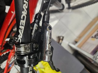 Santa Cruz VP Free