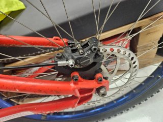 Santa Cruz VP Free