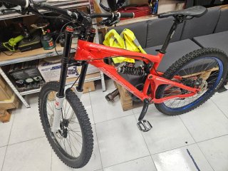 Santa Cruz VP Free