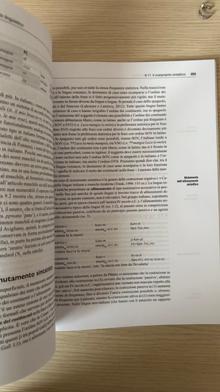 Linguistica. Introduzione scienze del linguaggi...