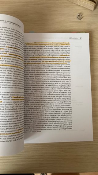 Linguistica. Introduzione scienze del linguaggi...