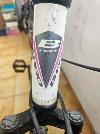 Bicicleta infantil niña/niño