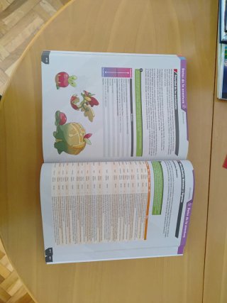 Guida Pokedex Ufficiale Pokémon Spada e Scudo