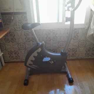 Bicicleta Estática BH