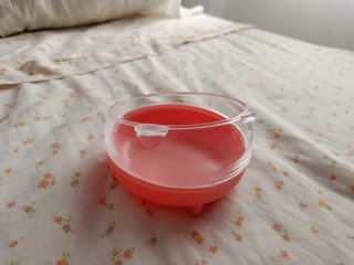 Arenero/Baño Hamster Transparente y Rosa