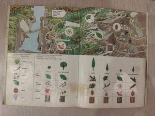 2 Libros El Mundo de los Niños x 2€