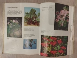 2 Libros El Mundo de los Niños x 2€
