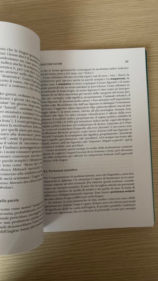 Lineamenti di linguistica