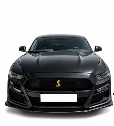 Ford Mustang 5.0 GT - foto 1