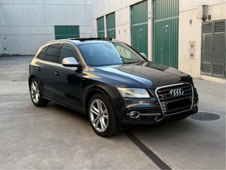 Audi SQ5 2014