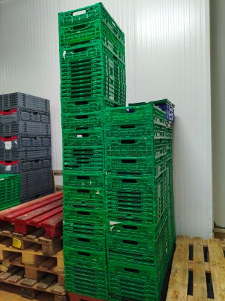 Caja Plegable IFCO 6410 Plástico Verde