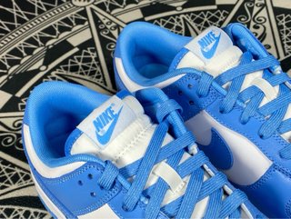 Nike Dunk Low Azul y Blanco 40-45
