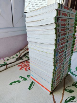 Ranma 1/2. Completa. Glenat