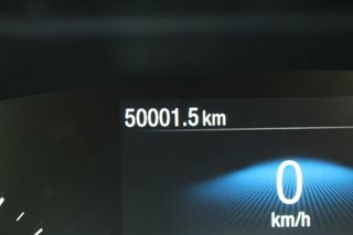 Ford FOCUS FAMILIAR Active 1.0T EcoBoost mHEV 92kW125CV SB (2024)