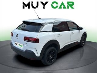 Citroen C4 Cactus PureTech 110 S&S Feel 81 kW (110 CV)