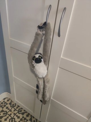 Peluche Mono Lemur