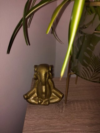 Elefante Dorado Zen