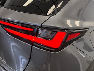 Lexus NX 450H + LUXURY