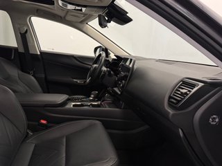 Lexus NX 450H + LUXURY