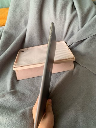 iPad Air 2 Rosa