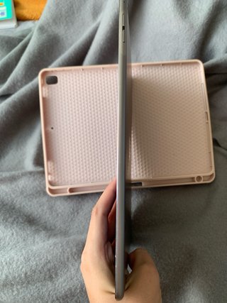 iPad Air 2 Rosa