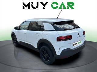 Citroen C4 Cactus PureTech 110 S&S Feel 81 kW (110 CV)