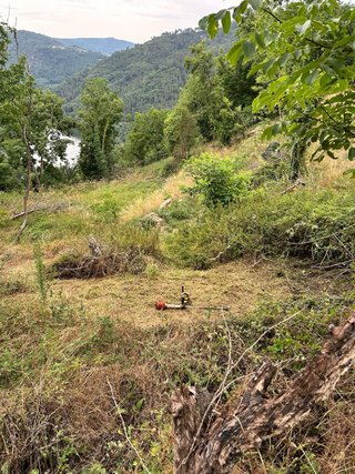 Desbroces,limpieza de fincas y trabajo forestal.