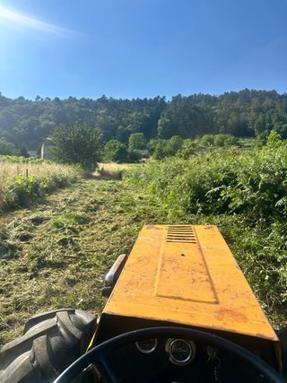 Desbroces,limpieza de fincas y trabajo forestal.