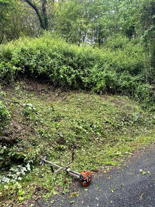 Desbroces,limpieza de fincas y trabajo forestal.