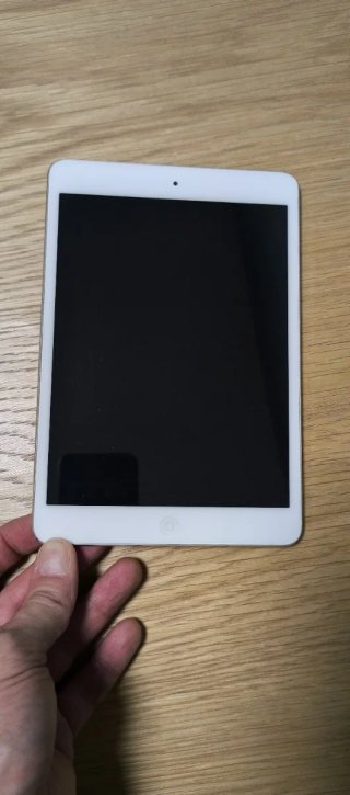 iPad Mini Blanco/Plata