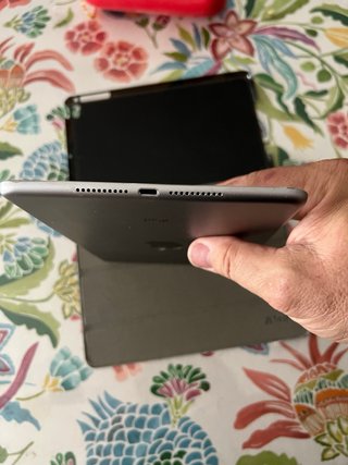 iPad mini 4 Space Gray 128GB