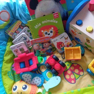 Lote Juguetes Bebé y Libros Infantiles