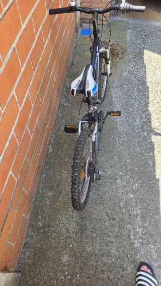 Bici infantile Avigo Downhill 20