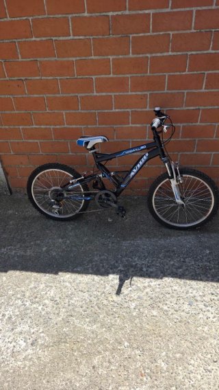 Bici infantile Avigo Downhill 20