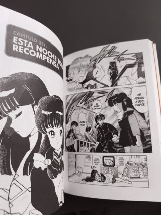 Ranma 17